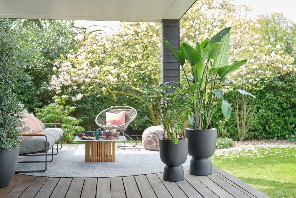 Elho bloempot op voet Pure zwart D 34,9 H 49 cm