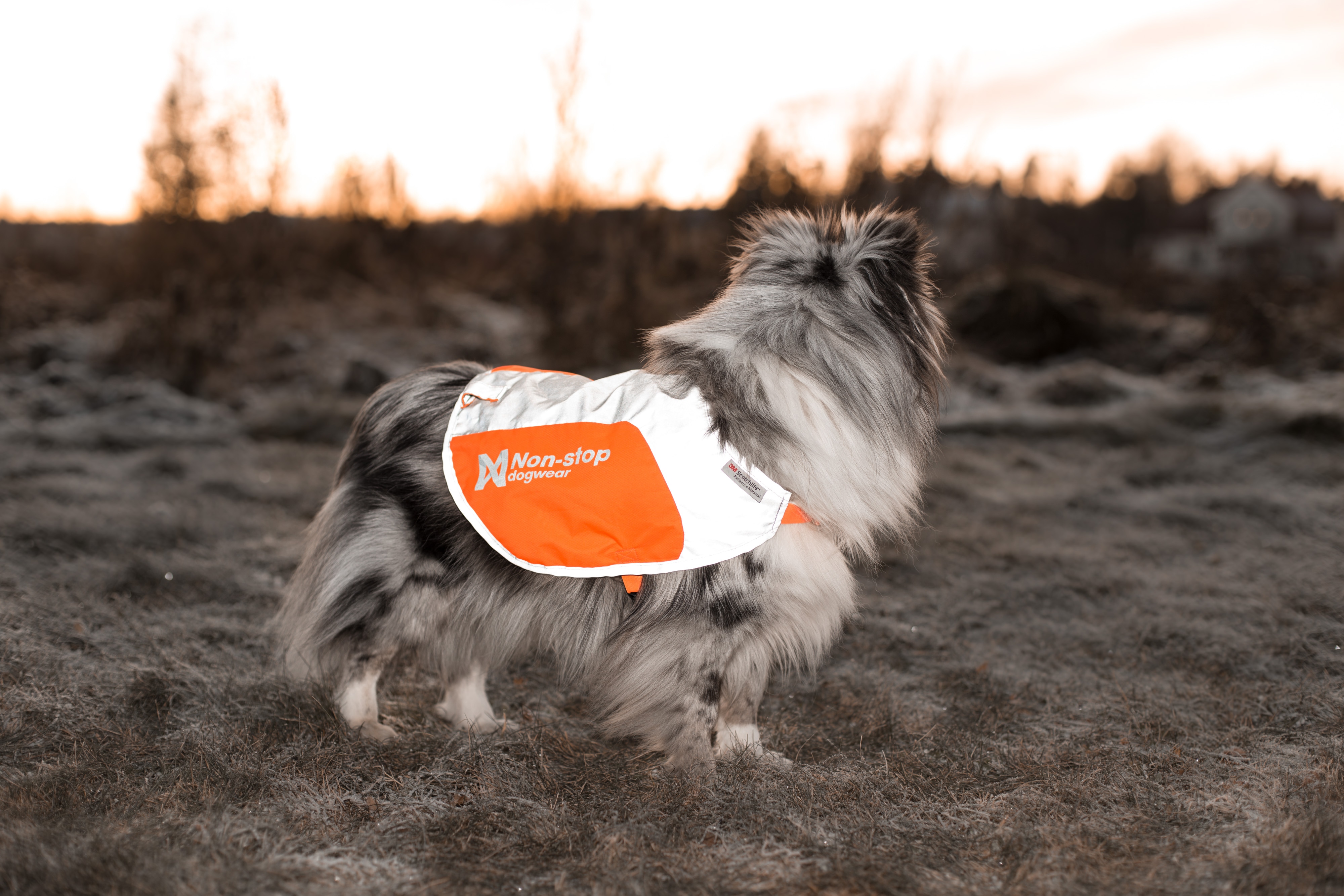 Kjøp Non-stop dogwear Reflection Blanket fra Hekta på tur!