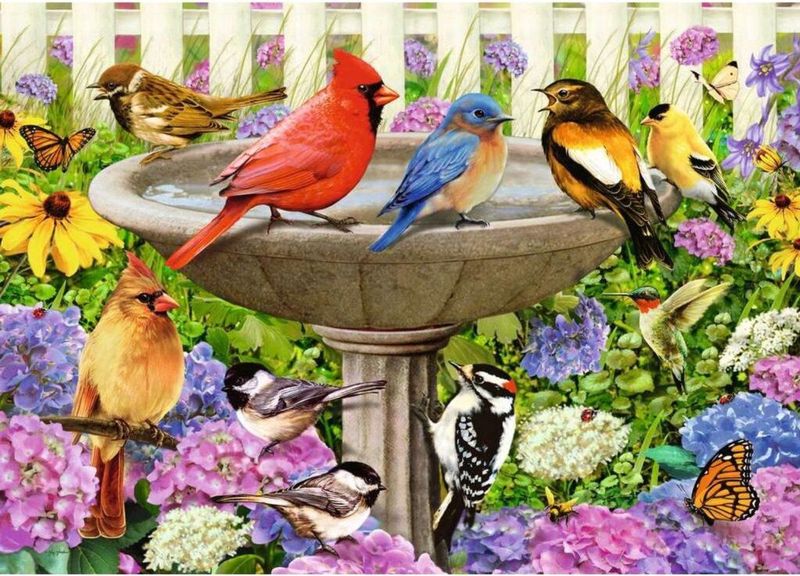 Ravensburger - Puzzel - Vogelbad - 500 Stukjes - Extra Groot