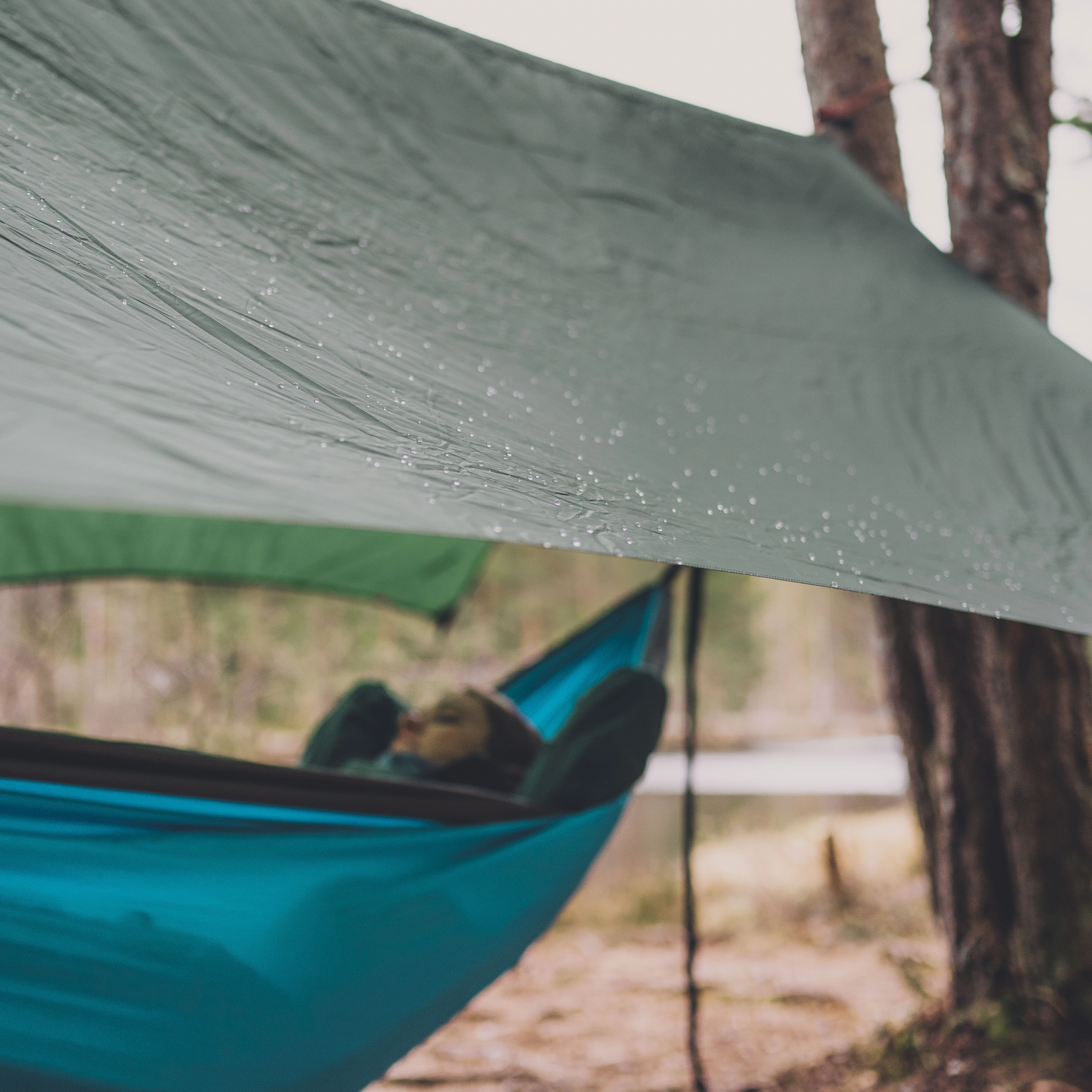 Tarp Medium Green