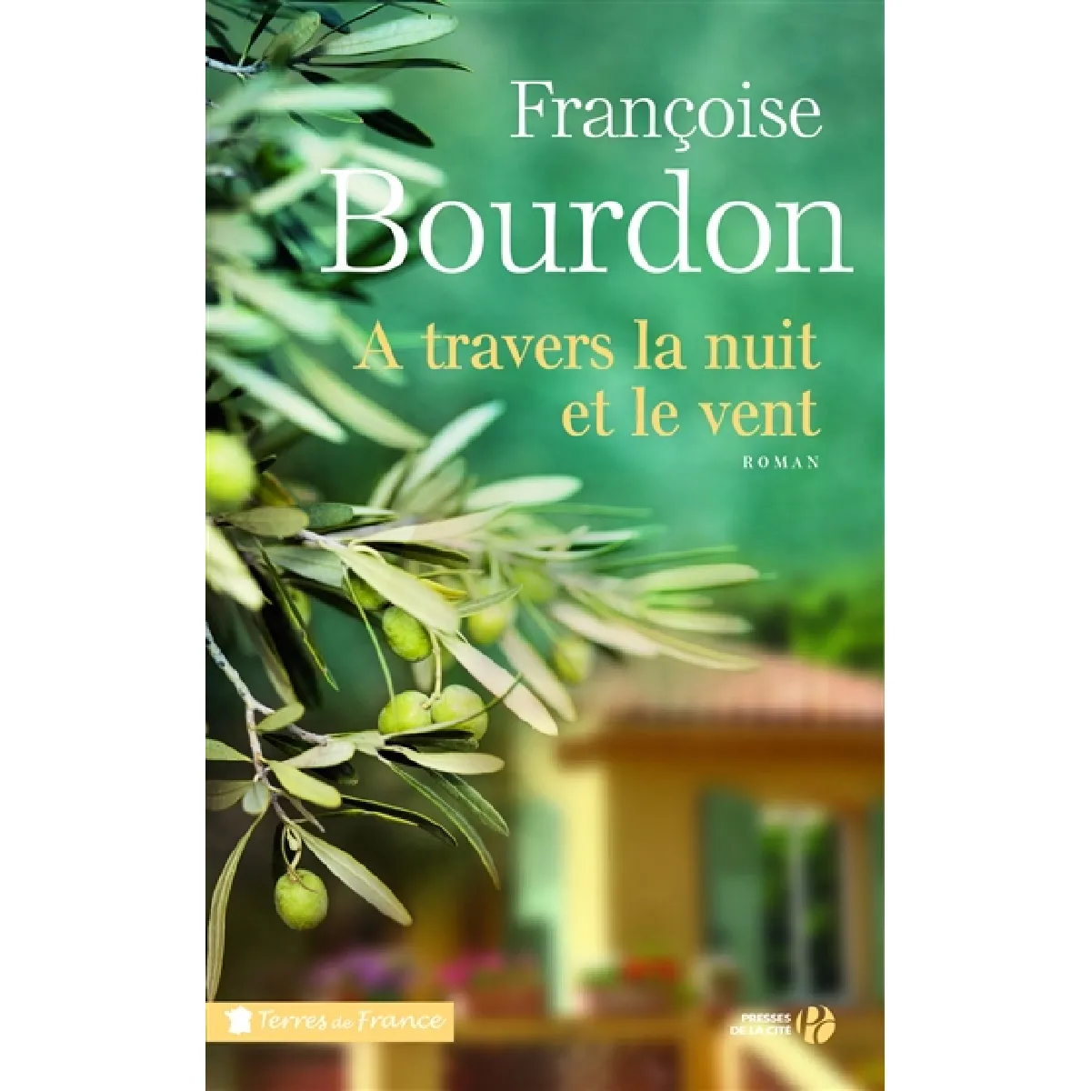 A travers la nuit et le vent · Occasion