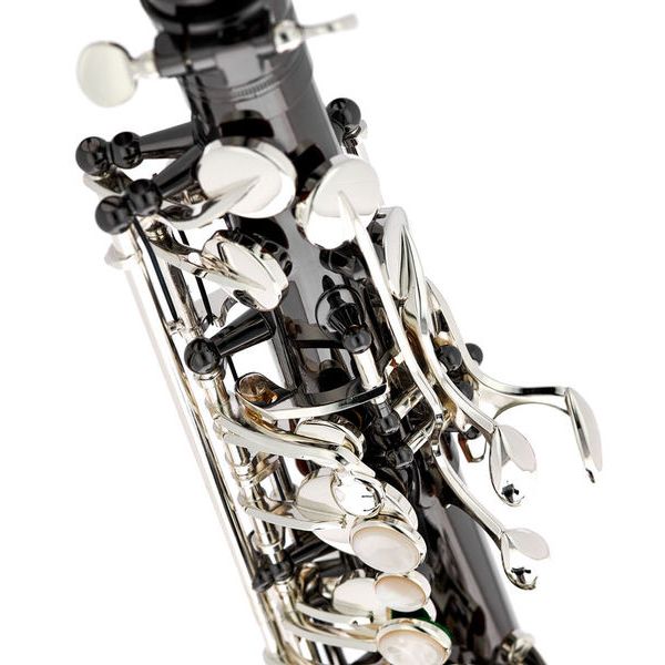 Thomann Custom Line ASBBS