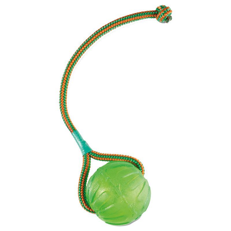 Jouet Starmark Swing n' Fling Chew Ball