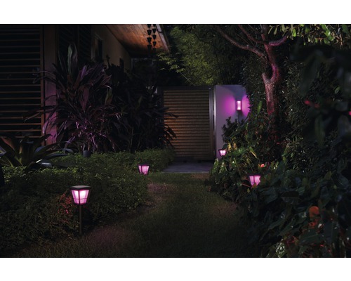 Philips Hue LED wandlamp White & Color Ambiance 1150 lm zwart - Compatibel met SMART HOME van Hornbach