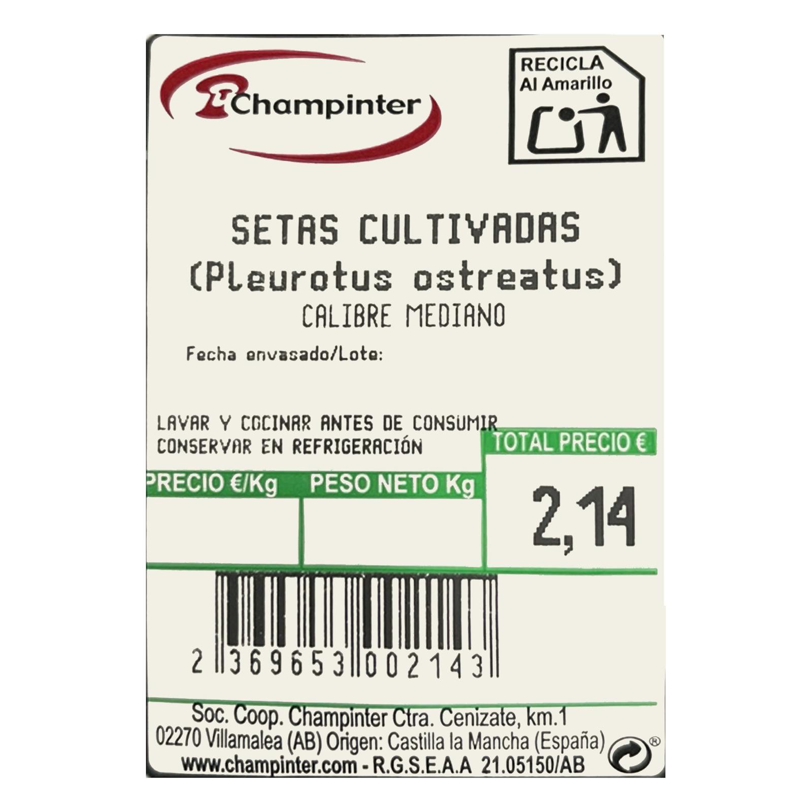 Champignons