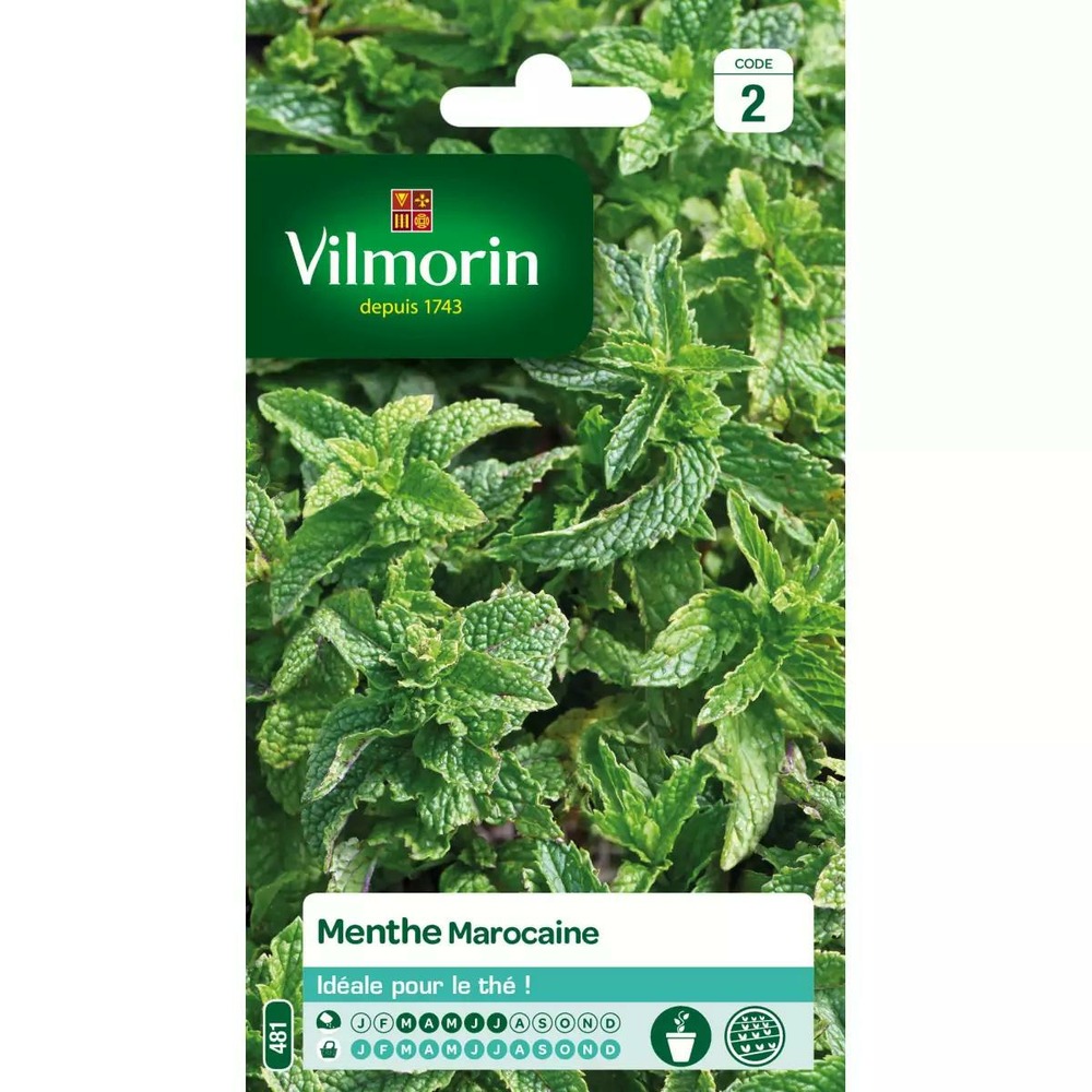 Sachet de graines menthe marocaine