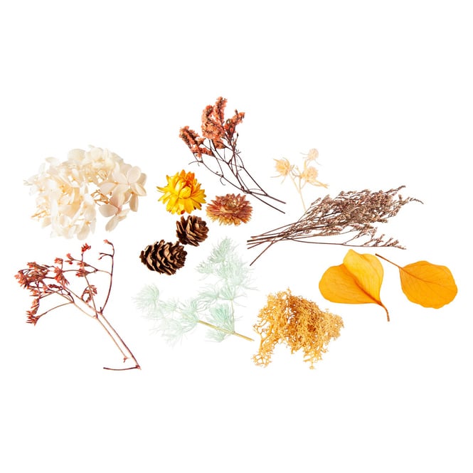 Streudeko - Trockenblumen - creme