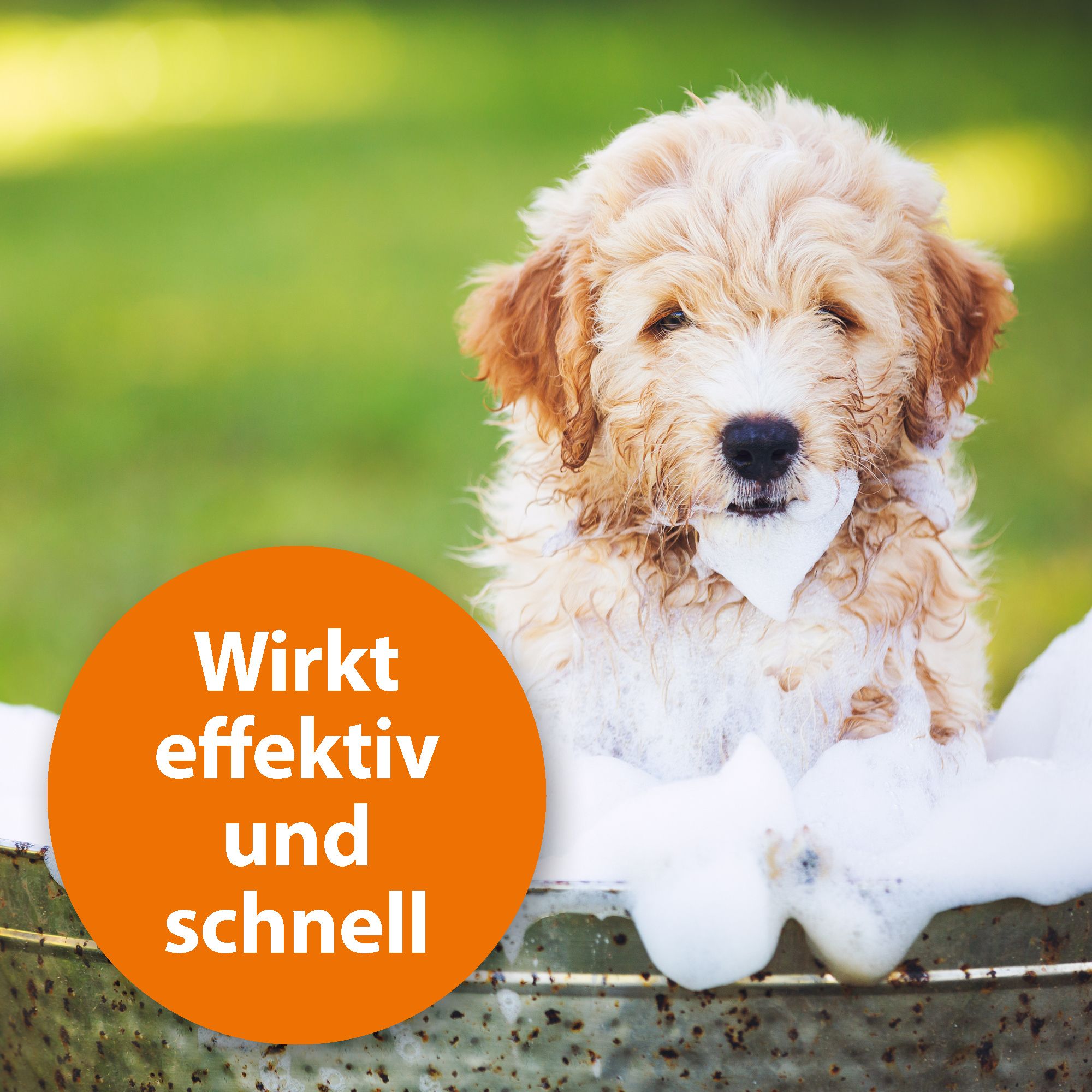 ARDAP® Anti-Floh Shampoo für Hunde