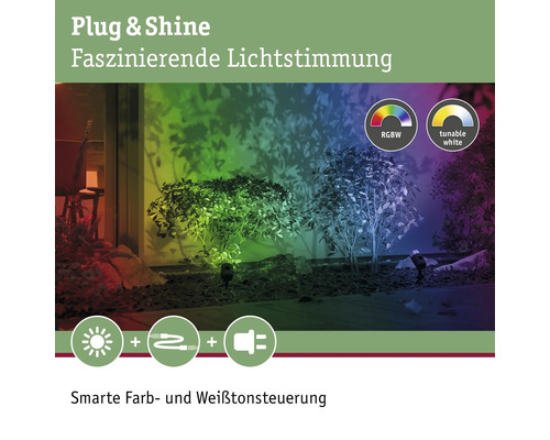 Paulmann Plug & Shine LED Spot Starterset RGBW IP44 3x4.5W 170 lm 3000-6500K Pike antraciet 230/24V 3 stuks - Compatibel met SMART HOME van hornbach