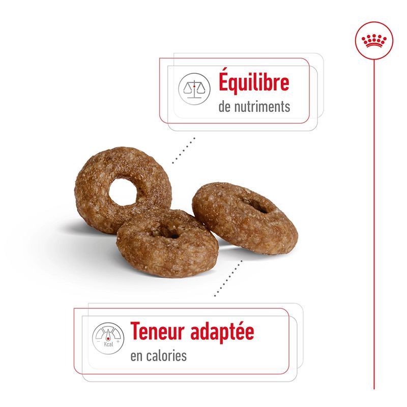 Royal Canin Mini Ageing 12+ à prix discount sur bitiba.fr