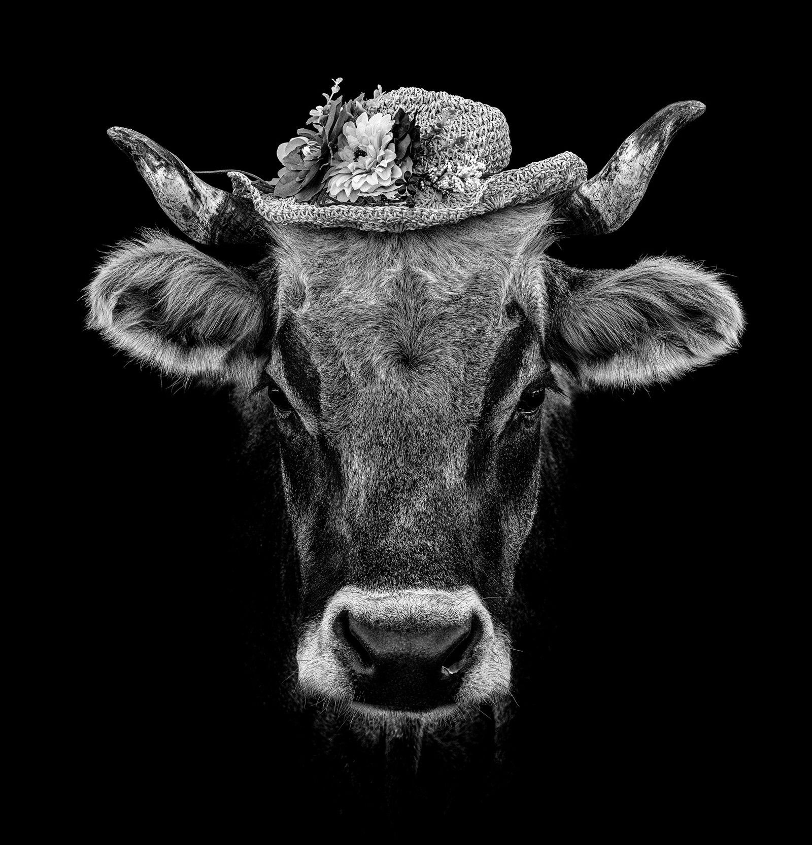 Ortensia by Claudio Gotsch - Limited Edition. Edition of: 150. Signed.