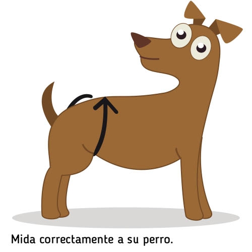 Canguru para transporte - Arnês de mão para cães com paralisia dos membros posteriores HANDY CANIS Tamanho XL
