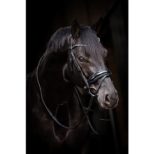 Hoofdstel HB Showtime Evalira Zwart-blauw