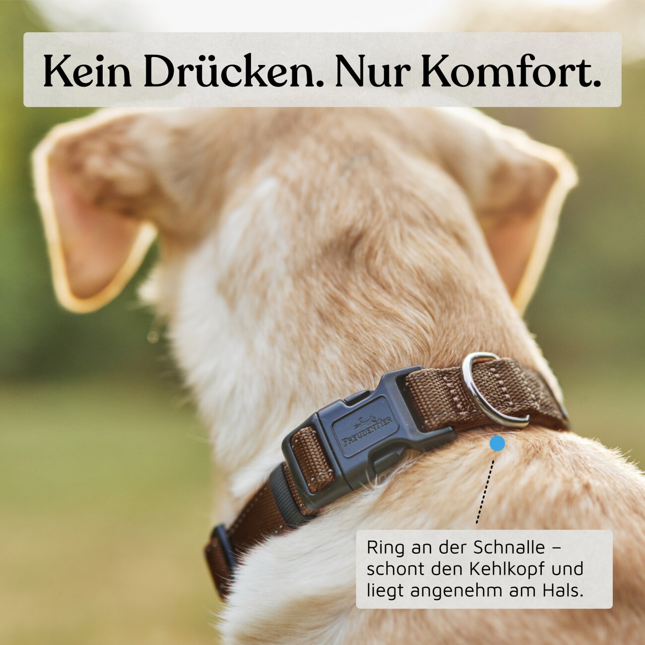 Freudentier Hundehalsband, leicht & komfortabel, Clyde Kollektion braun XS