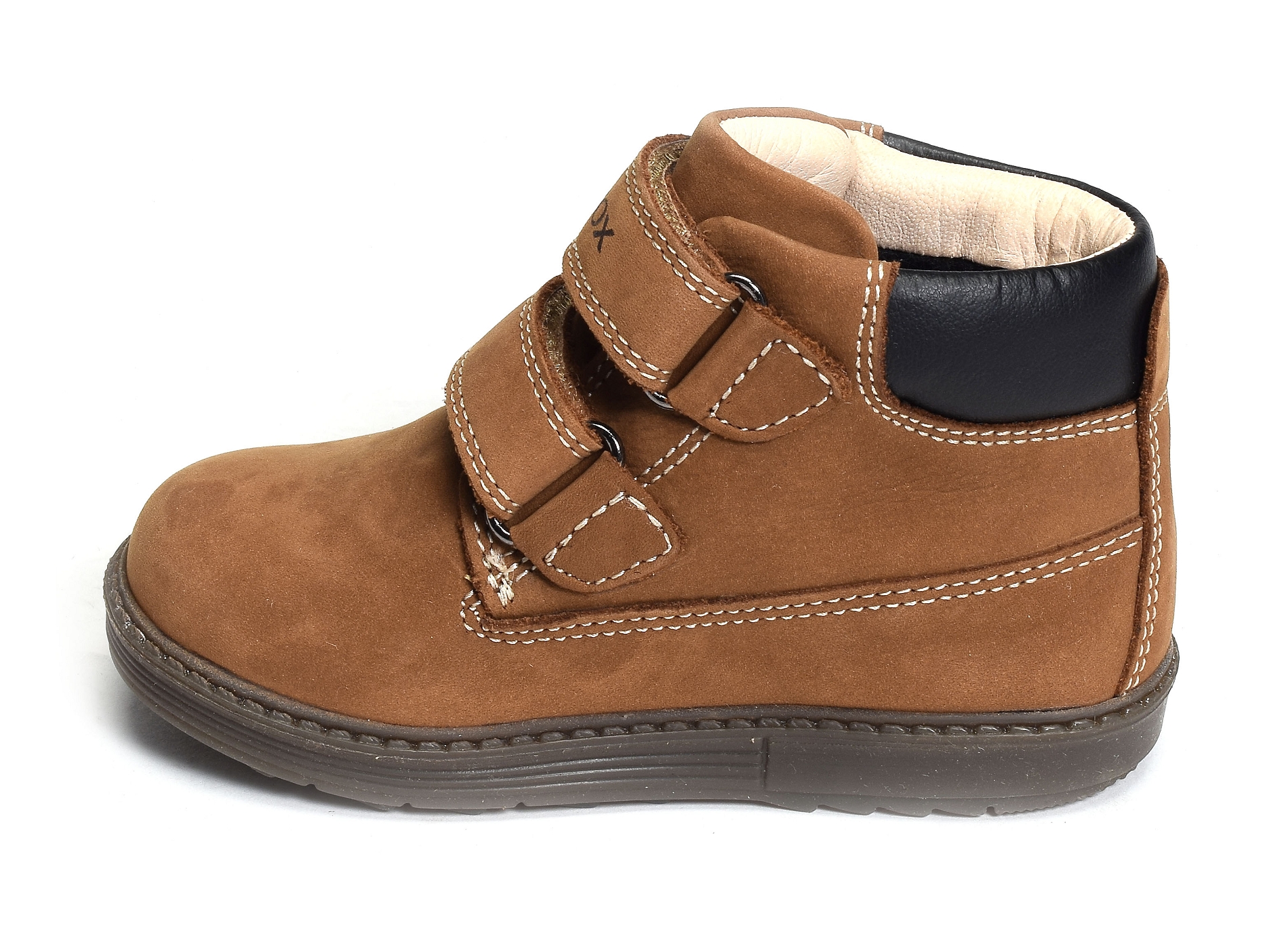 B hynde b camel
