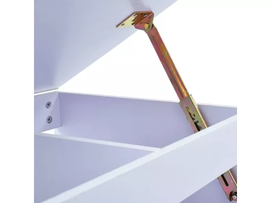 Bureau pour enfants Inclinable Blanc