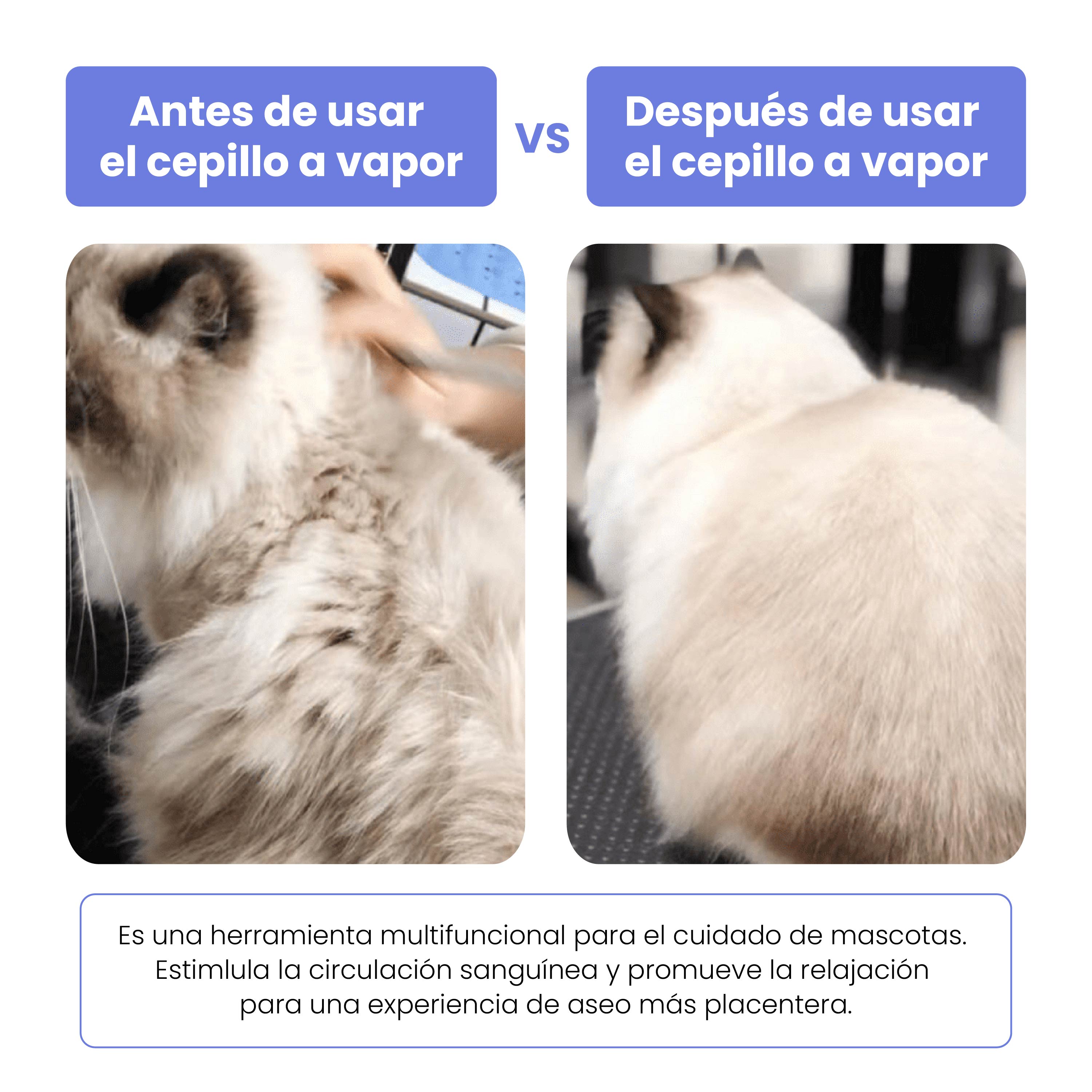 Escova a vapor para banheiros secos