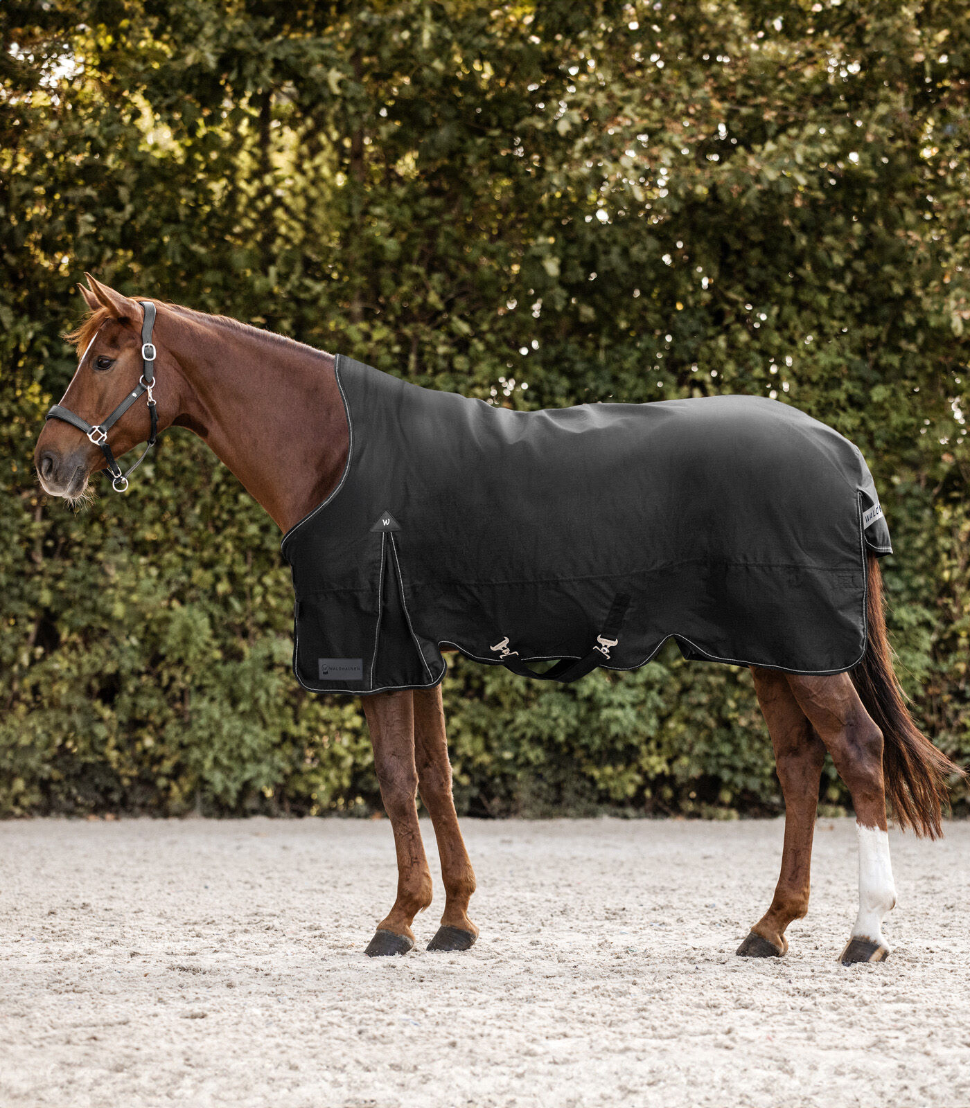 Waldhausen Arctic Hoge nek 200 gr - Winterdeken - Paardendeken - Zwart - 125/175