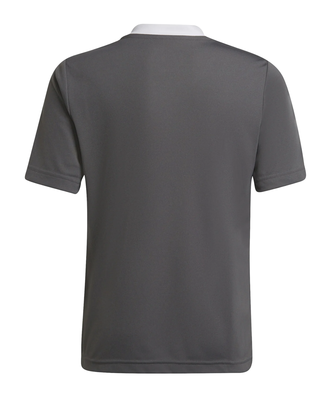 adidas Entrada 22 Trikot Kids Grau Weiss