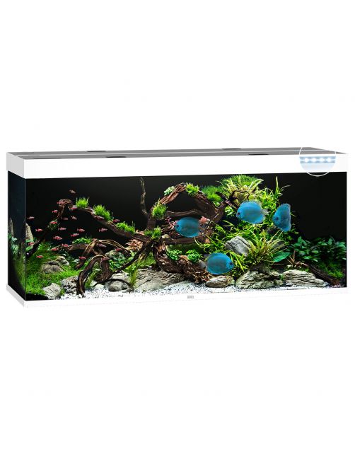 Juwel Aquarium Rio 450 Led - Aquaria