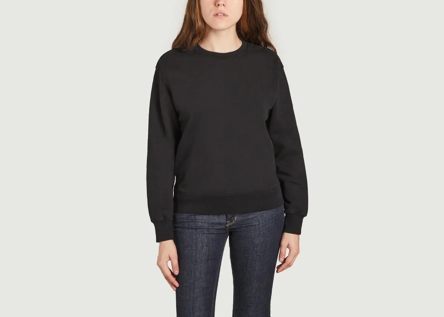 Pull Classique en coton bio Colorful Standard