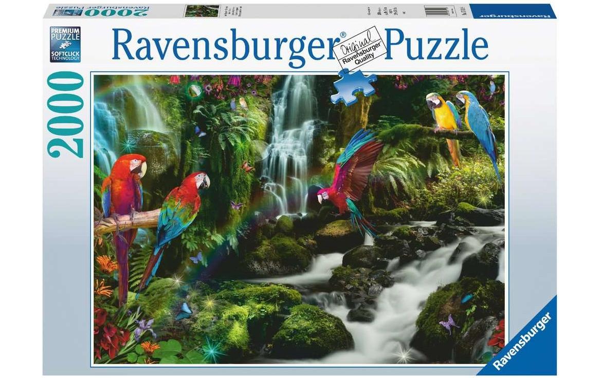 Puzzle Bunte Papageien im DschungelPremium-Puzzle mit Softclick-Technologie