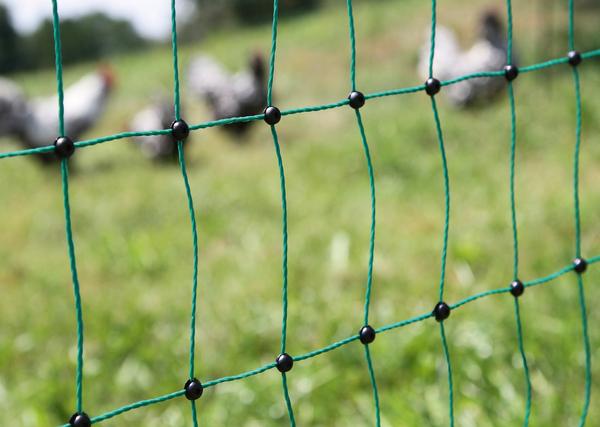 KERBL Geflügelnetz PoultryNet Doppelspitze,