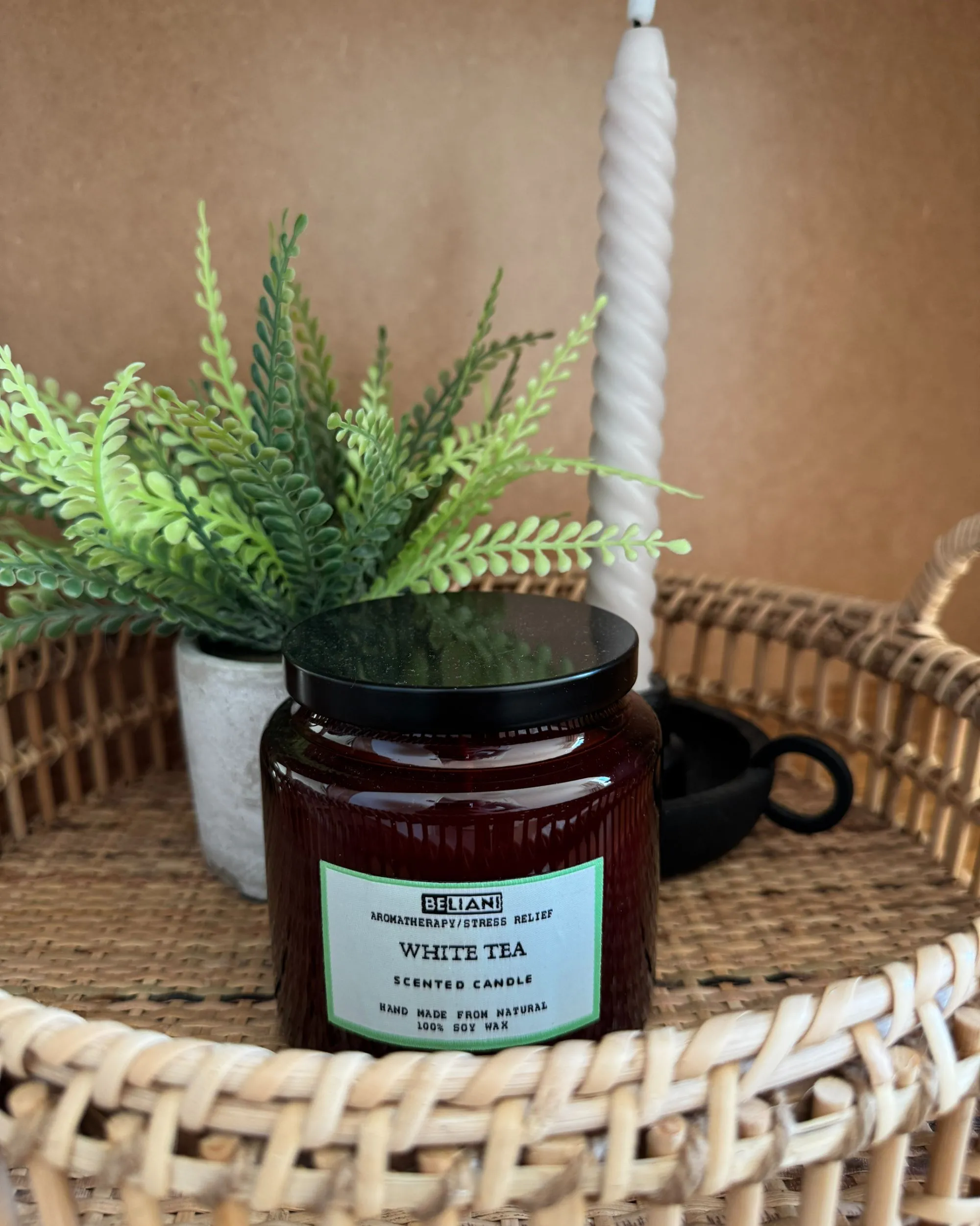Set van 2 geurkaarsen ABSOLUTE ALCHEMY Soja wax Frisse geurnoten
