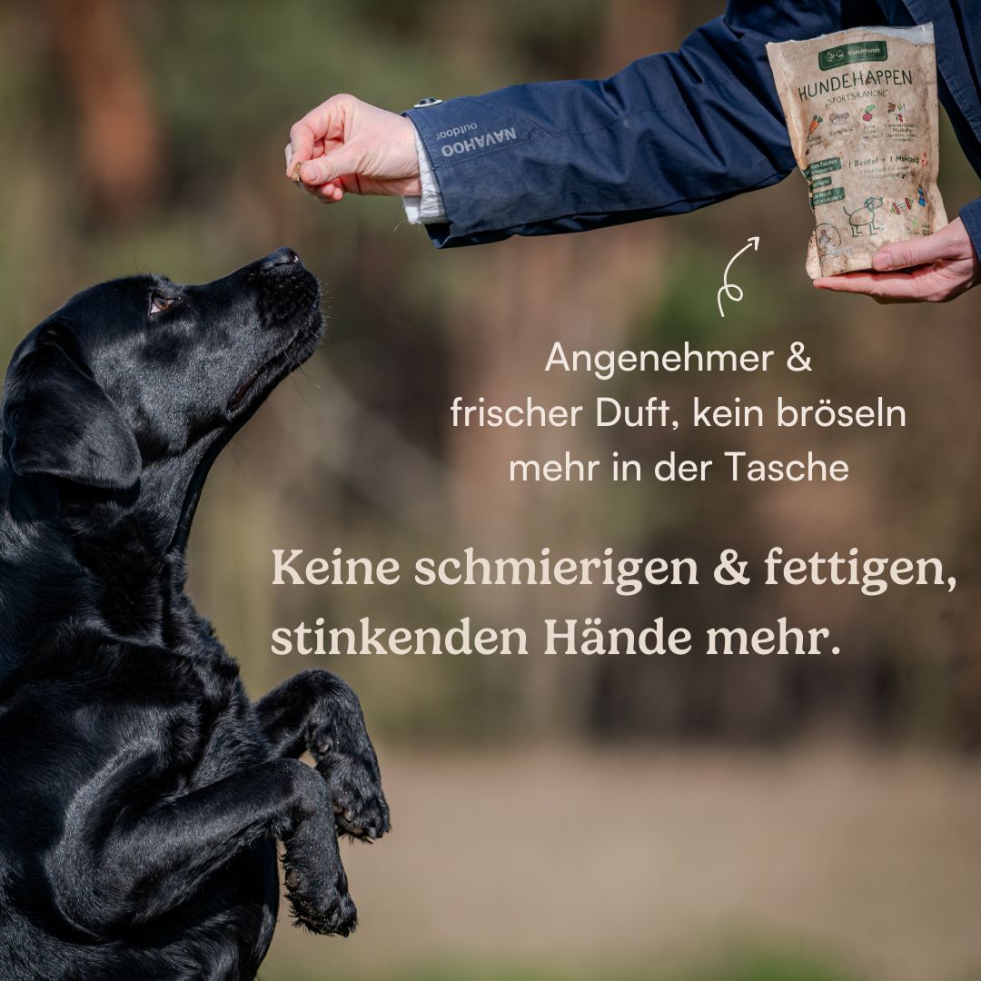 Hunderunde Hundehappen Morgenmuffel