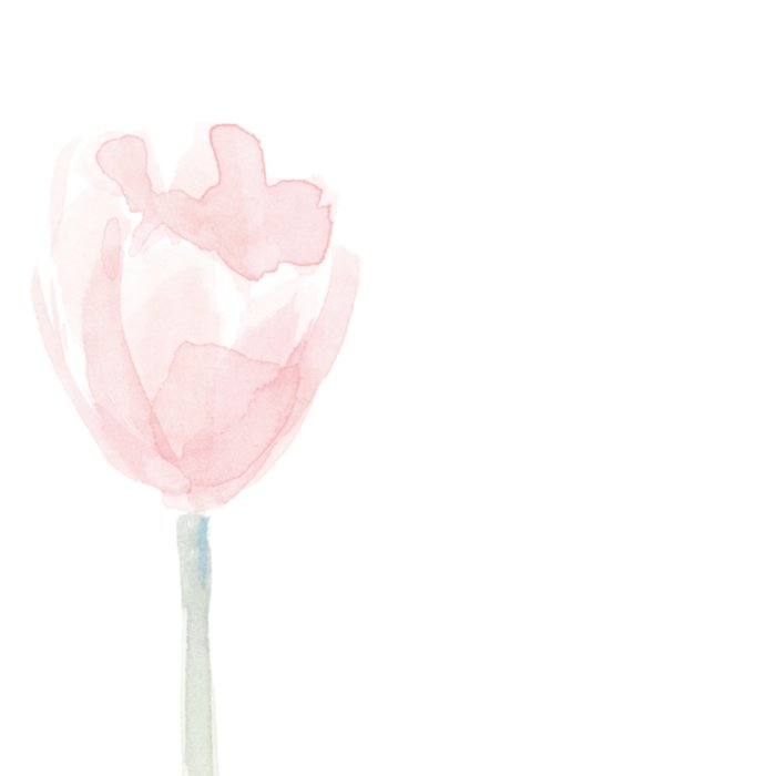Michelle Dujardin | Sterkte kaart | Tulpen