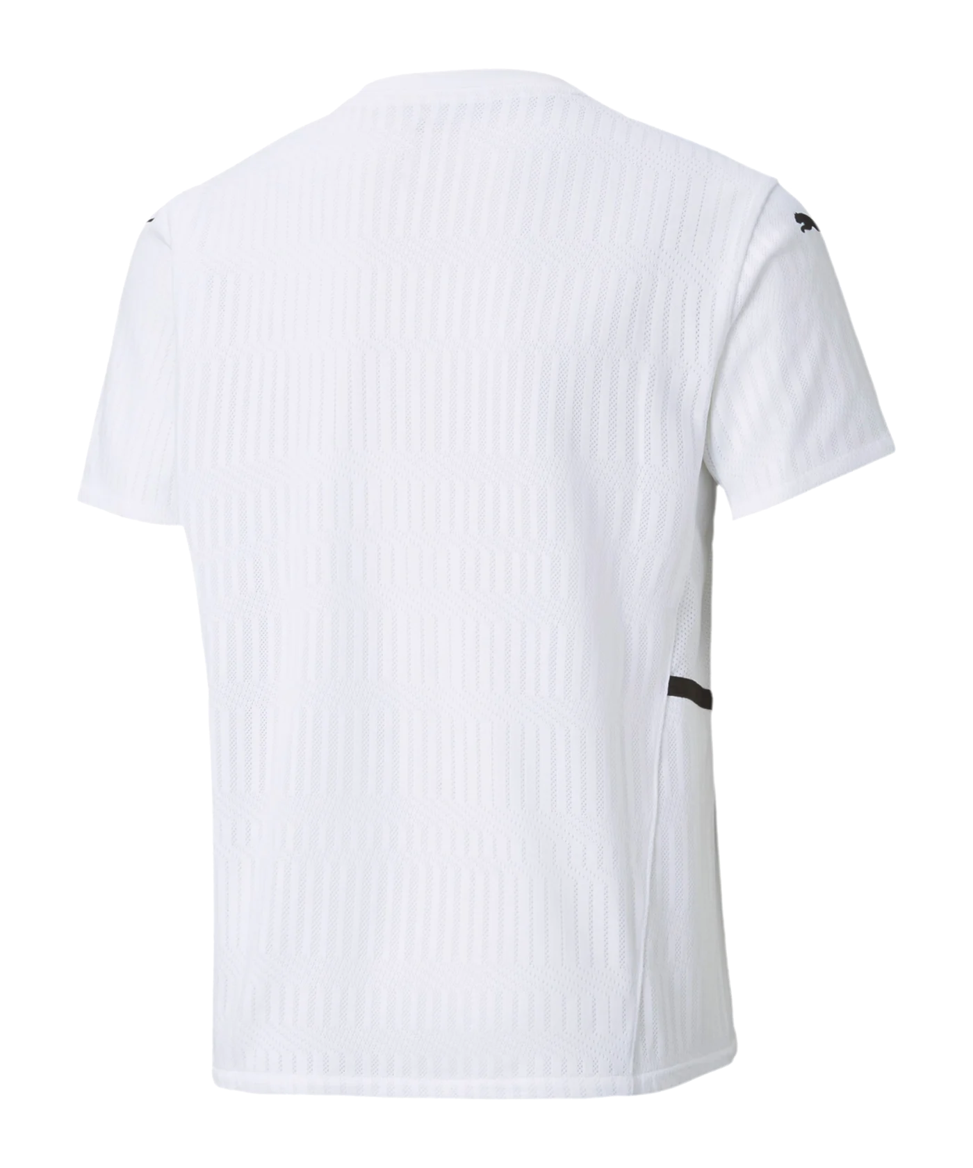 PUMA teamCUP Trikot Kids Weiss F04