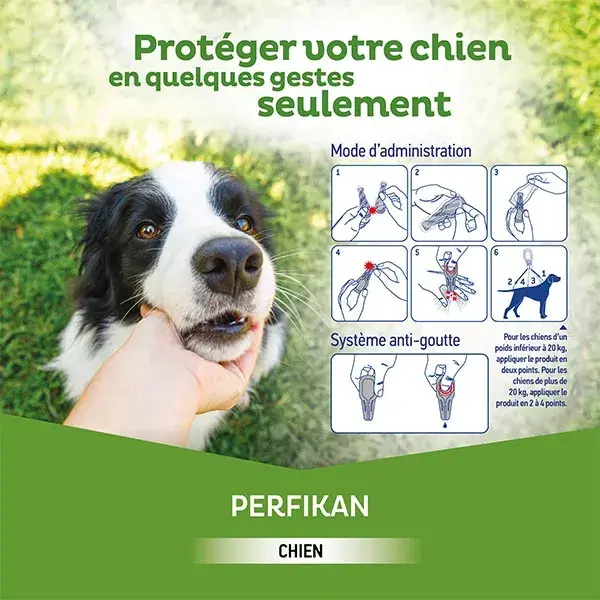 Clement Thekan Perfikan Tratamento contra pulgas e carrapatos para cães de 20 a 40 kg, 4 pipetas