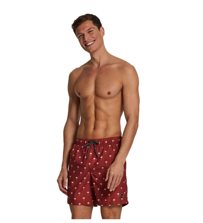 men swimshort scratched shiwi palm
