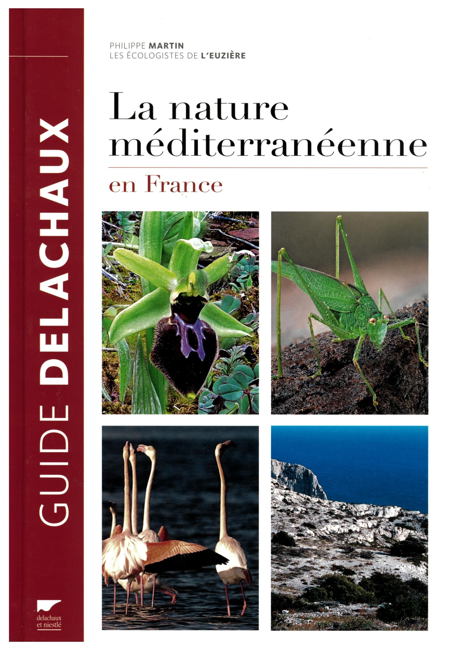 DELACHAUX  NIESTLE - LA NATURE MEDITERRANEENNE