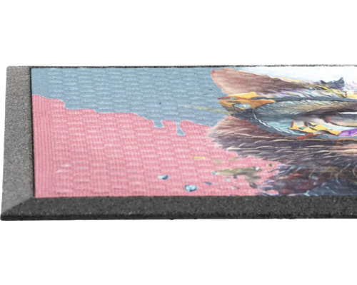 Lima kattenrubbermat 45x75 cm