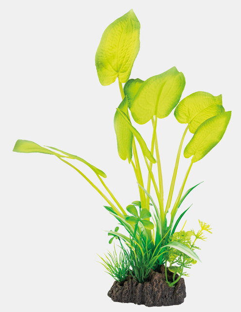 Aquarium decoratie set Steen Kunstplanten  | Inrichting