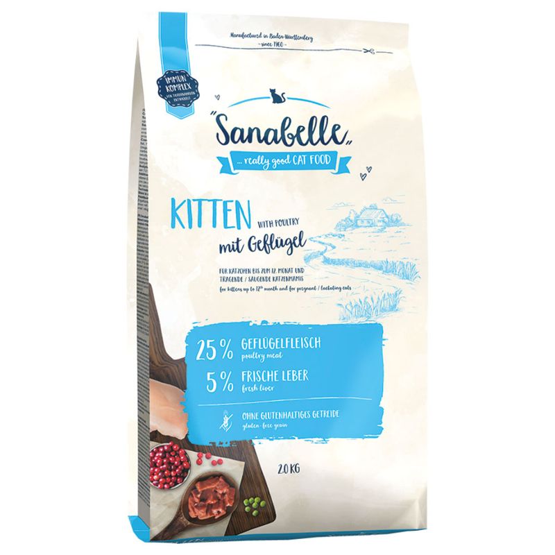 Sanabelle Kitten