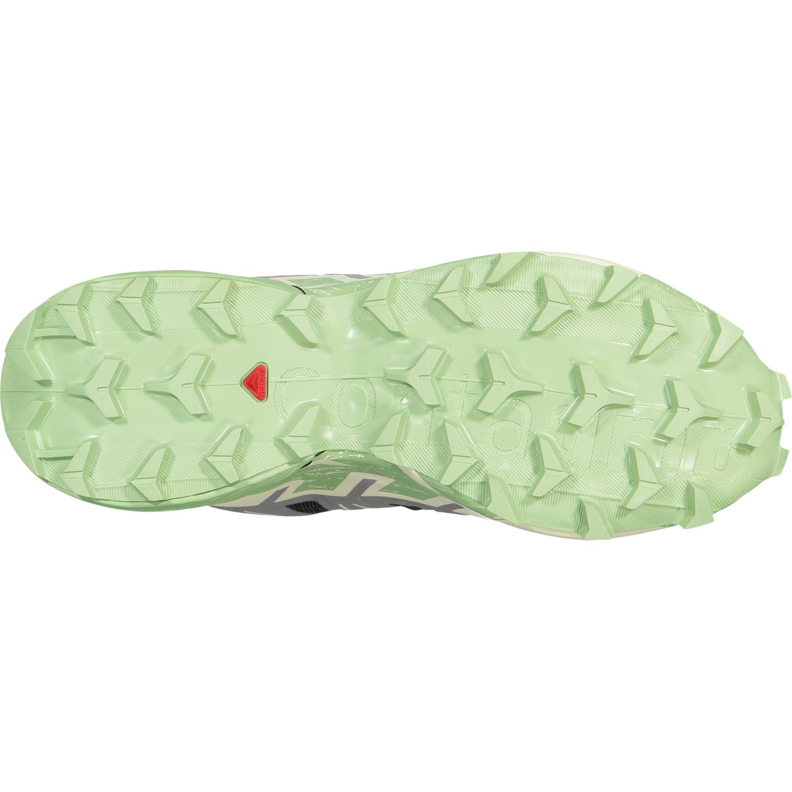 Salomon Damen-Trailrunningschuh Speedcross 6 grau, 39 1/3