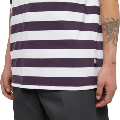 Tee-shirt à manches courtes homme Rivergrove DICKIES