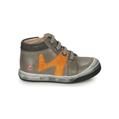 GBB - OLINOU - Gris / Ocre