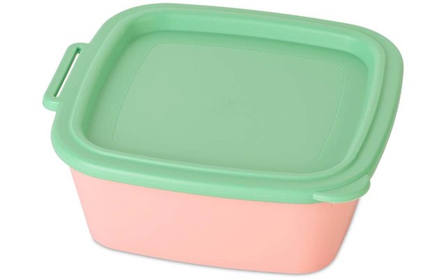 Koziol Schale mit Deckel NORA BOX 750ml