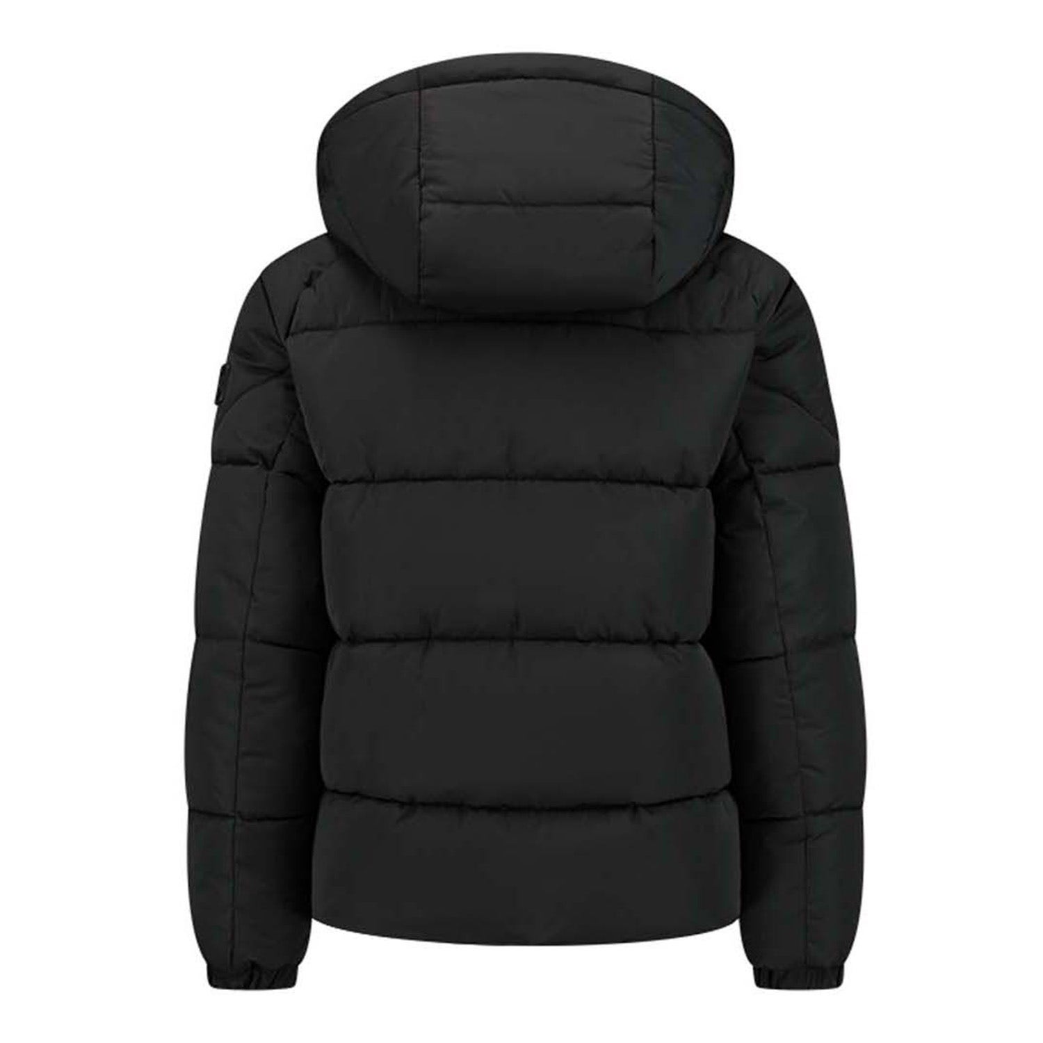 Malelions  Junior Donn Puffer