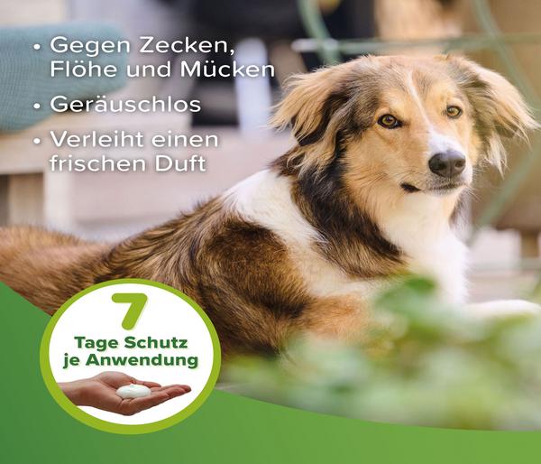 beaphar Zecken- und Flohschutzschaum, 150 ml