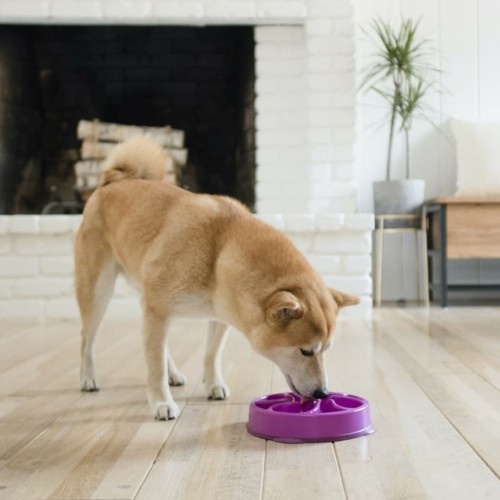 Comedouro para cães Outward Hound Slow Bowl Mini roxo
