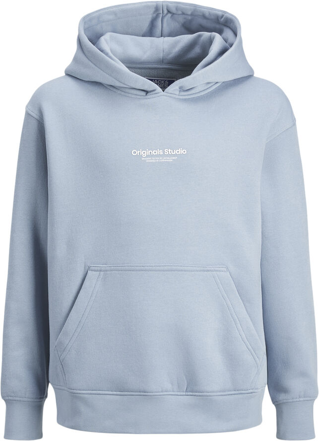 Jack & Jones JORVESTERBRO SWEAT HOOD NOOS JNR Mountain spring/loose