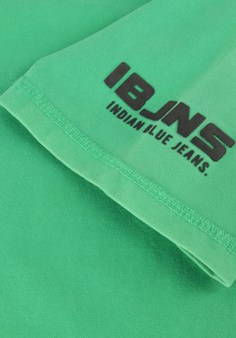 INDIAN BLUE JEANS groene indian blue jeans t-shirt t-shirt fancy basic long