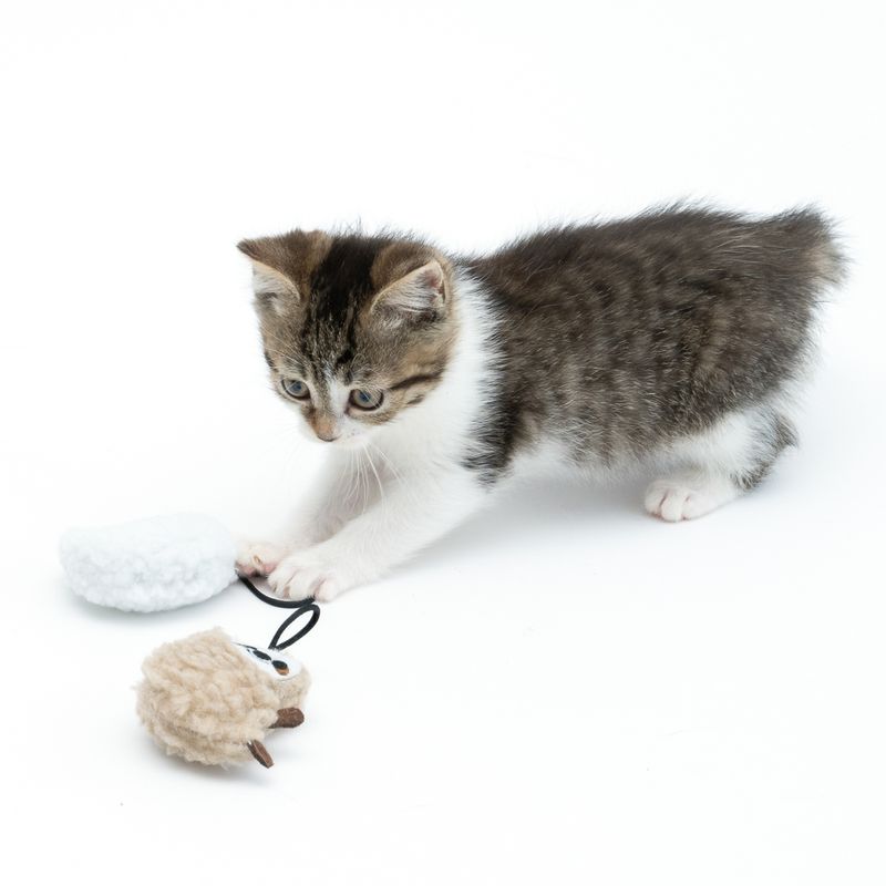 Lot de jouets TIAKI Paresseux avec menthe à chat