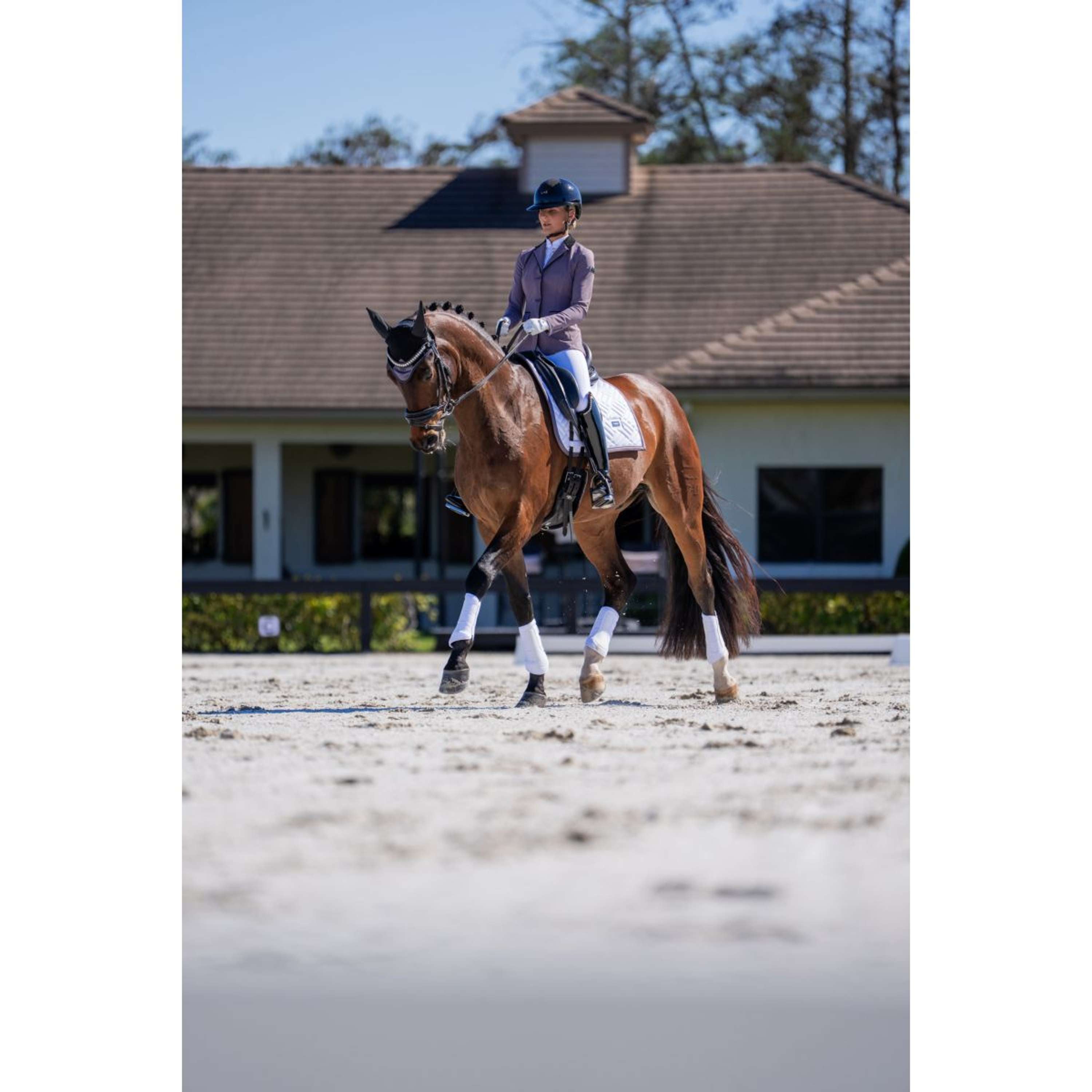 Equestrian Stockholm Oornetje Modern Dark Violet
