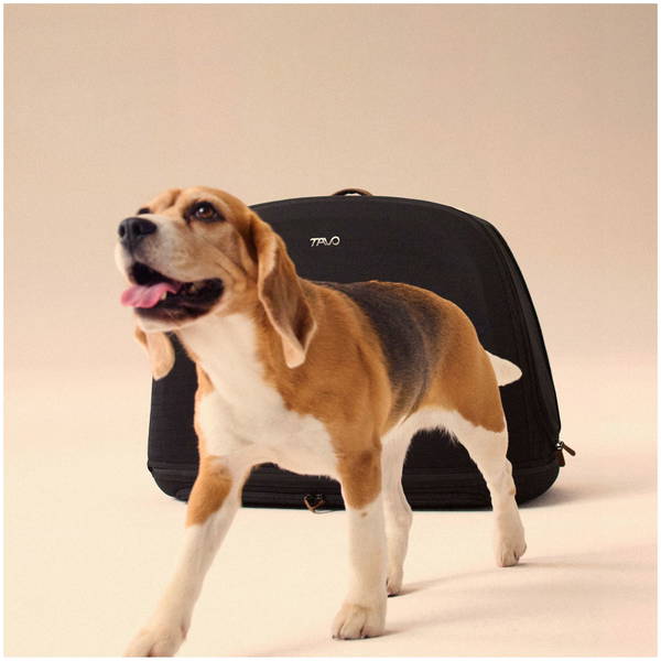 Tavo PetsTavo Pets   Crispin Transportbox onyx Large
