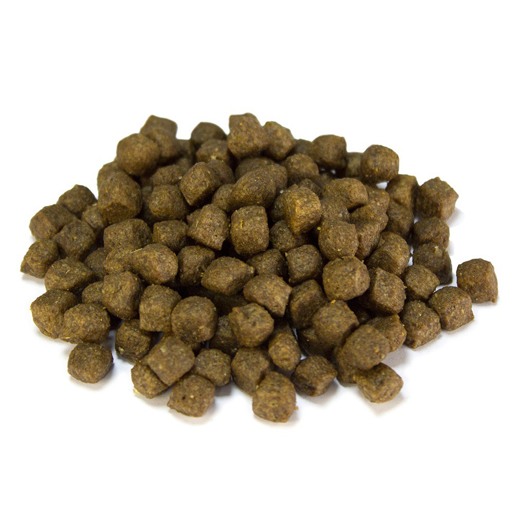 Arquivet Dog Puppy Junior Sabor Arroz e Frango